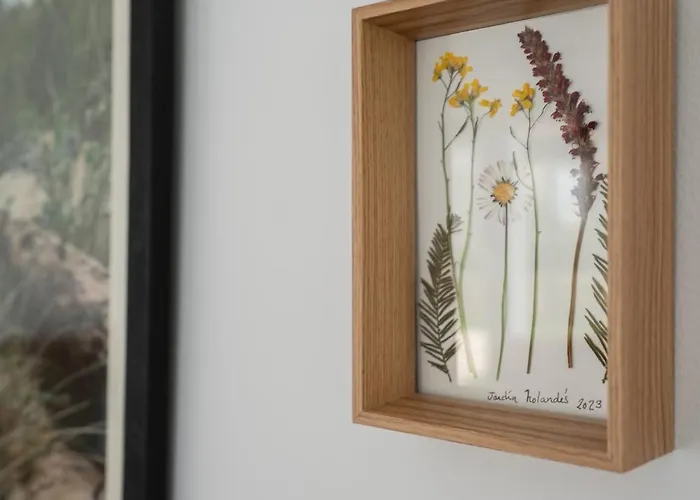 Montealmar - Natural Somo Galizano